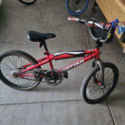 20 Inch Bicycle
