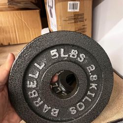 Barbell, 5lb Olympic Cast Iron Weight Plate, Single