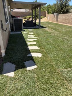 Turf Sod