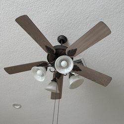 Fan