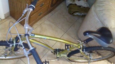Luna comfort tek bike price sales
