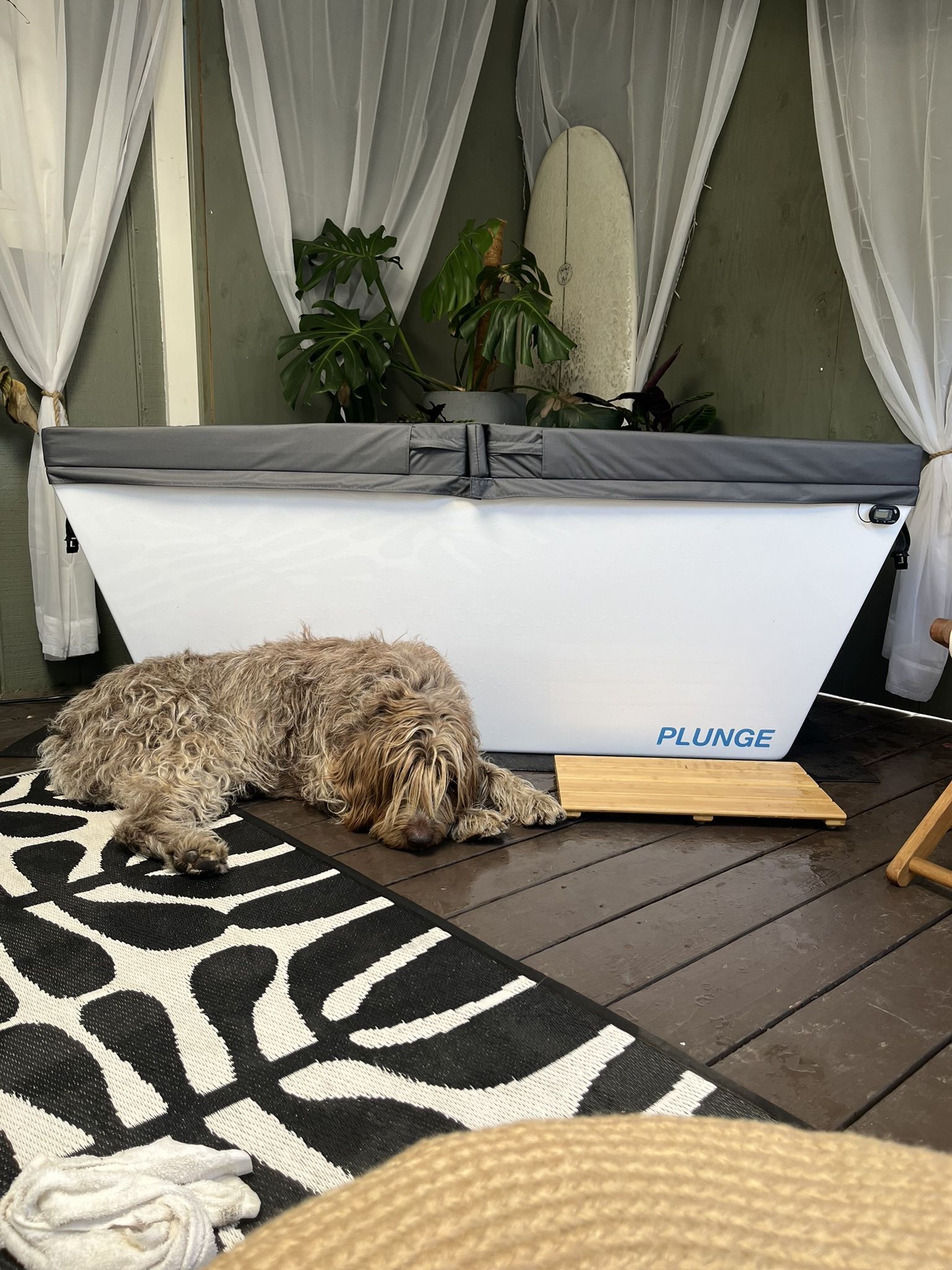 Cold Plunge By Plunge The OG Cold Plunge