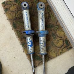 Fox Svt Racing Shocks