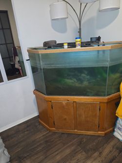 85 gallon fish tank