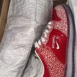 Nike Dunk Low SB Stingwater Magic Mushroom 