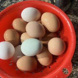 Fresh Organic Eggs