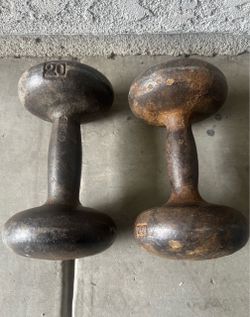 20 lb Cast Iron Dumbbells Pair