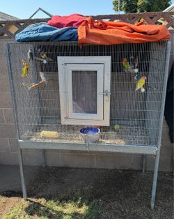 Bird Cage