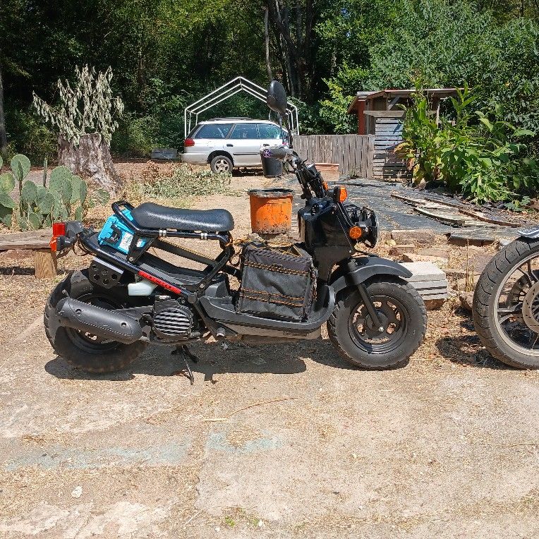 2016 Honda Ruckus