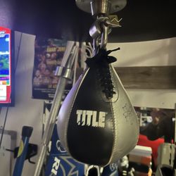 Boxing Speed bag 