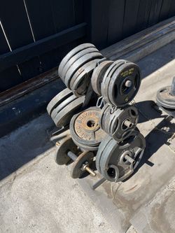 Complete Weight Set With Two Long Bars And Curl Bar