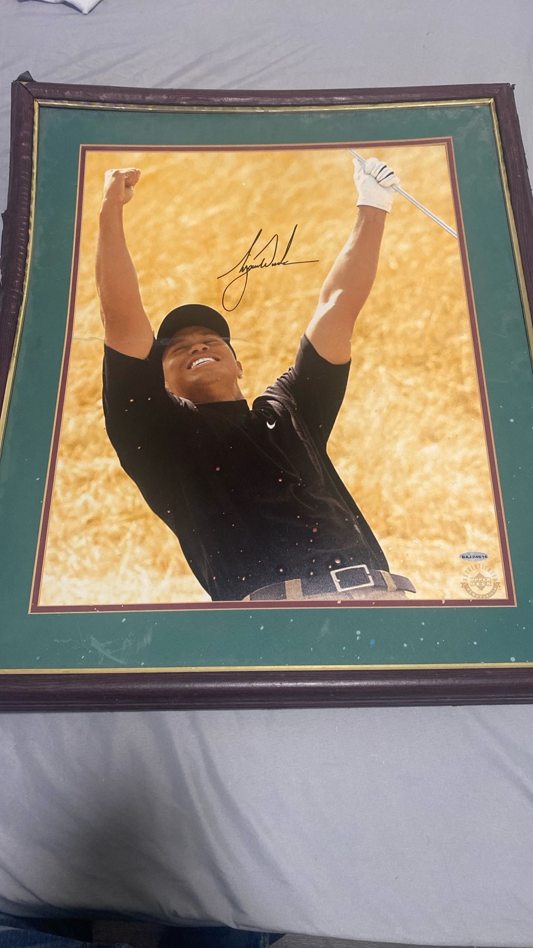 Tiger Woods Upper Deck Autographed Picture