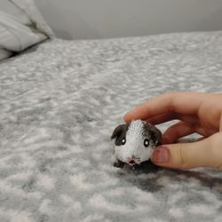 Sand Filled Brown And White Small Guinea Pig Fidget