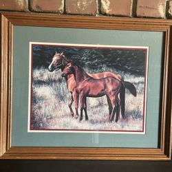 HORSE PICTURE