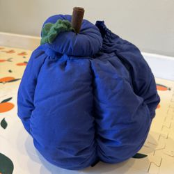 Blueberry Baby Costume 