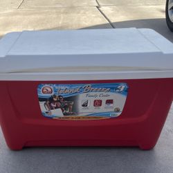 Igloo Cooler
