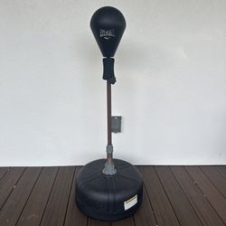 Everlast Reflex Training Bag