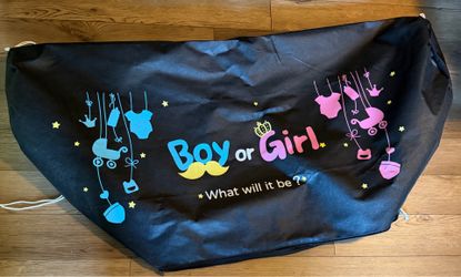 Gender Reveal Balloon Drop