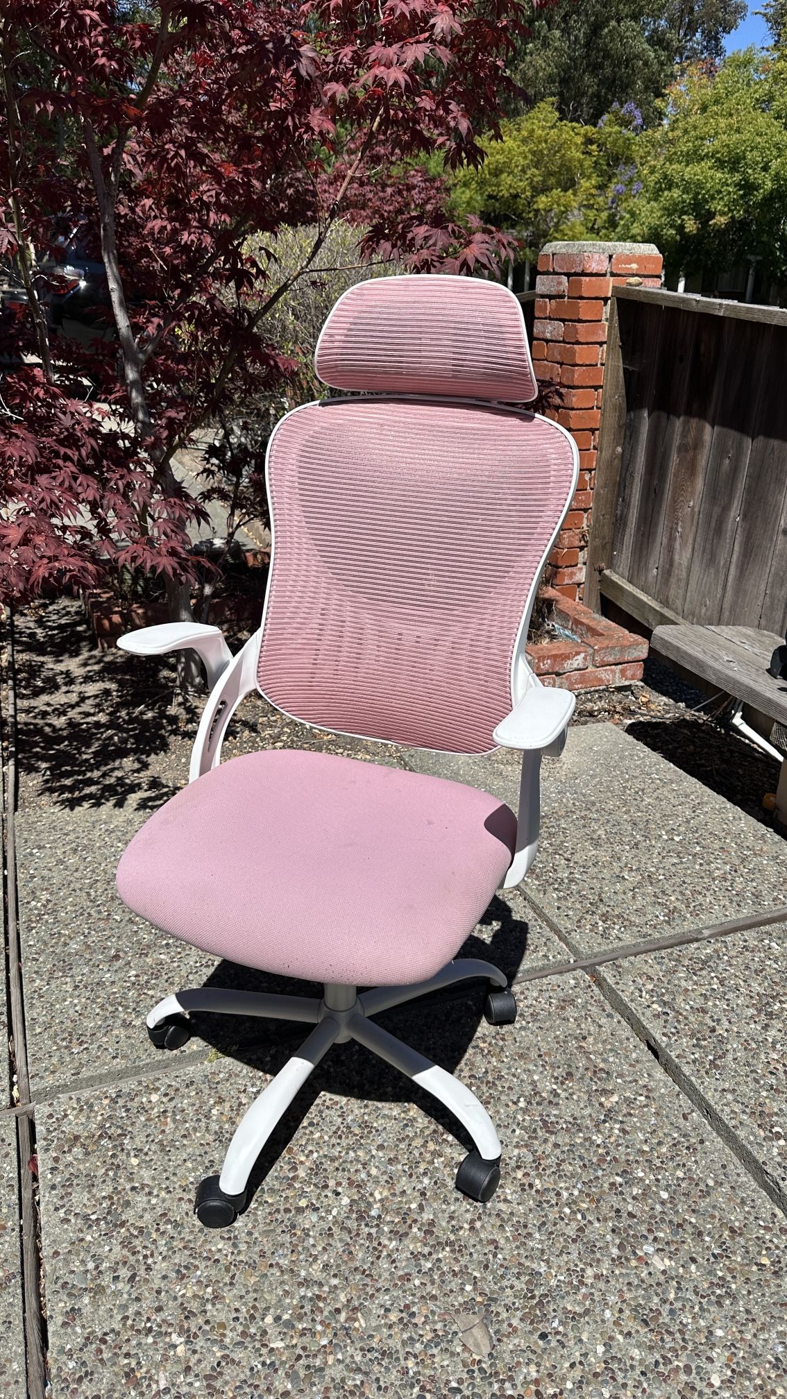 Pink And Shit Offer Chair