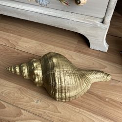 Large Horse Conch In Gold