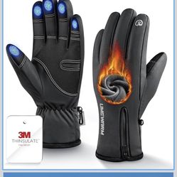 Winter Gloves 