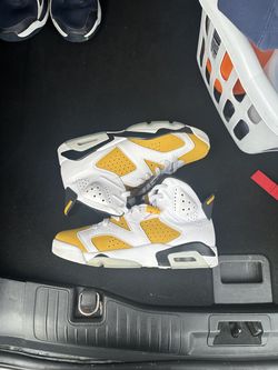 Jordan 6s