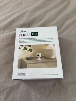 Blink Mini 2K