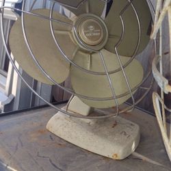 Antique Fans 