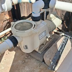 Pool  pump and filter