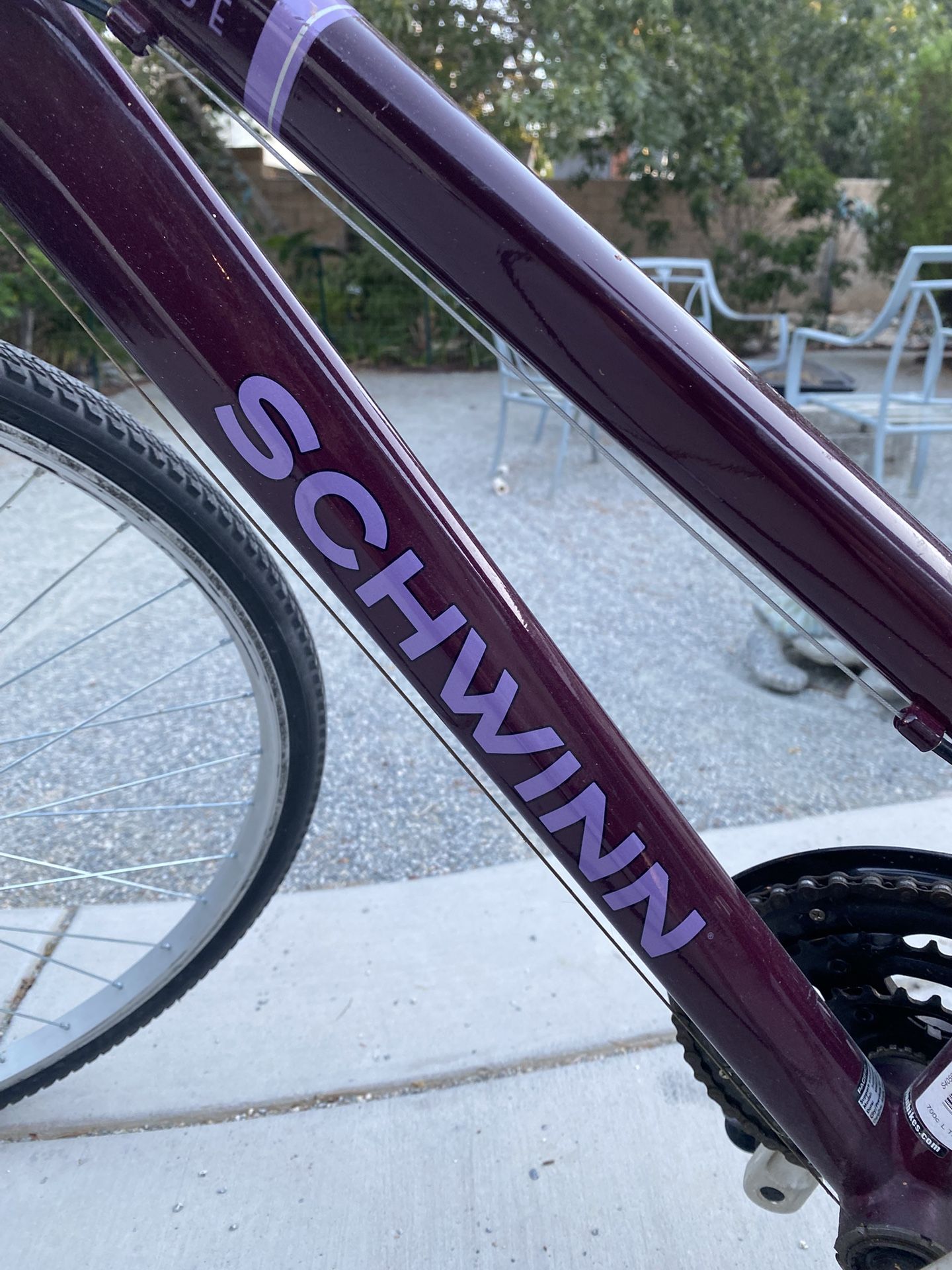 Schwinn Bicycle