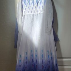 Elsa Frozen 2 Dress Up Dress