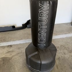 Free Standing Punching bag 