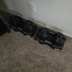 NordicTrack Speed Weight