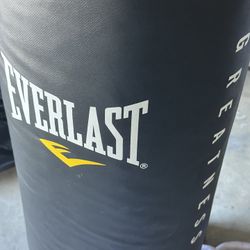 Everlast Punching Bag.