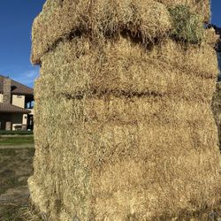 Alfalfa Hay 