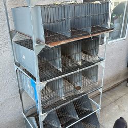 Quail Cage 