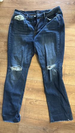 Judy blue jeans both size 20 tall