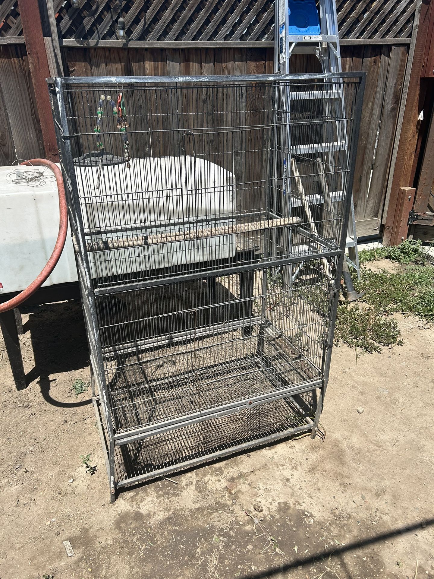 Bird Cage