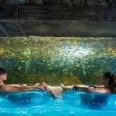 Aquatica Tickets 