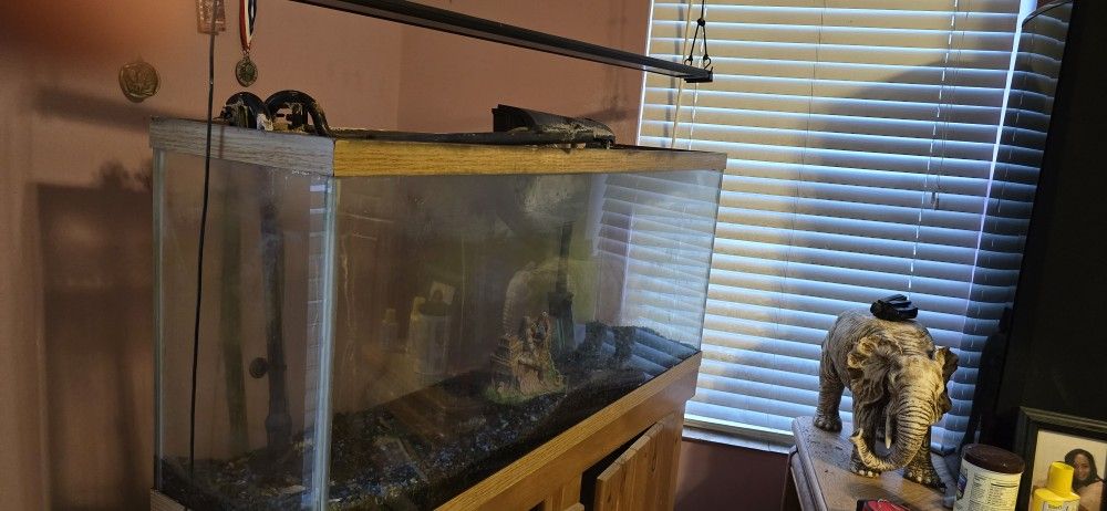55gal