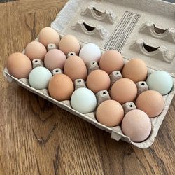 Farm Fresh Eggs (Free Range, Organic)