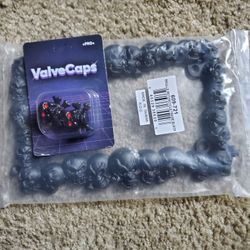 New Motorcycle License Plate Holder & Valve Caps