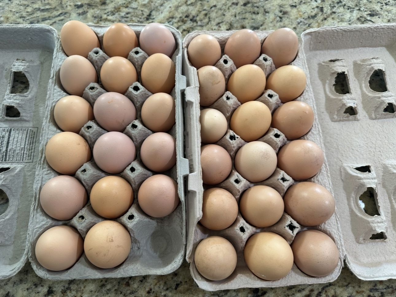 Farm Fresh Eggs
