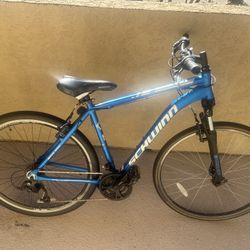 Schwinn Hybrid Bike