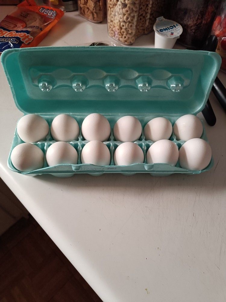 Eggs