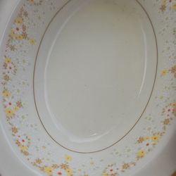 Antique CHINA dishes 