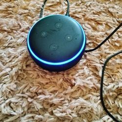 Alexa 