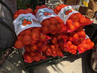 Oranges