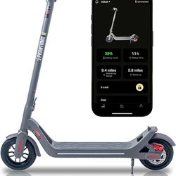 Electric Scooter New