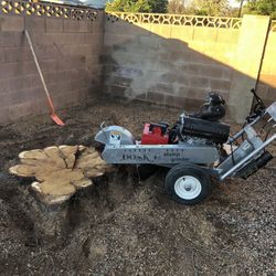 Grea Tree Stump Grinding 
